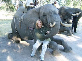 Elephant Trek Zambezi